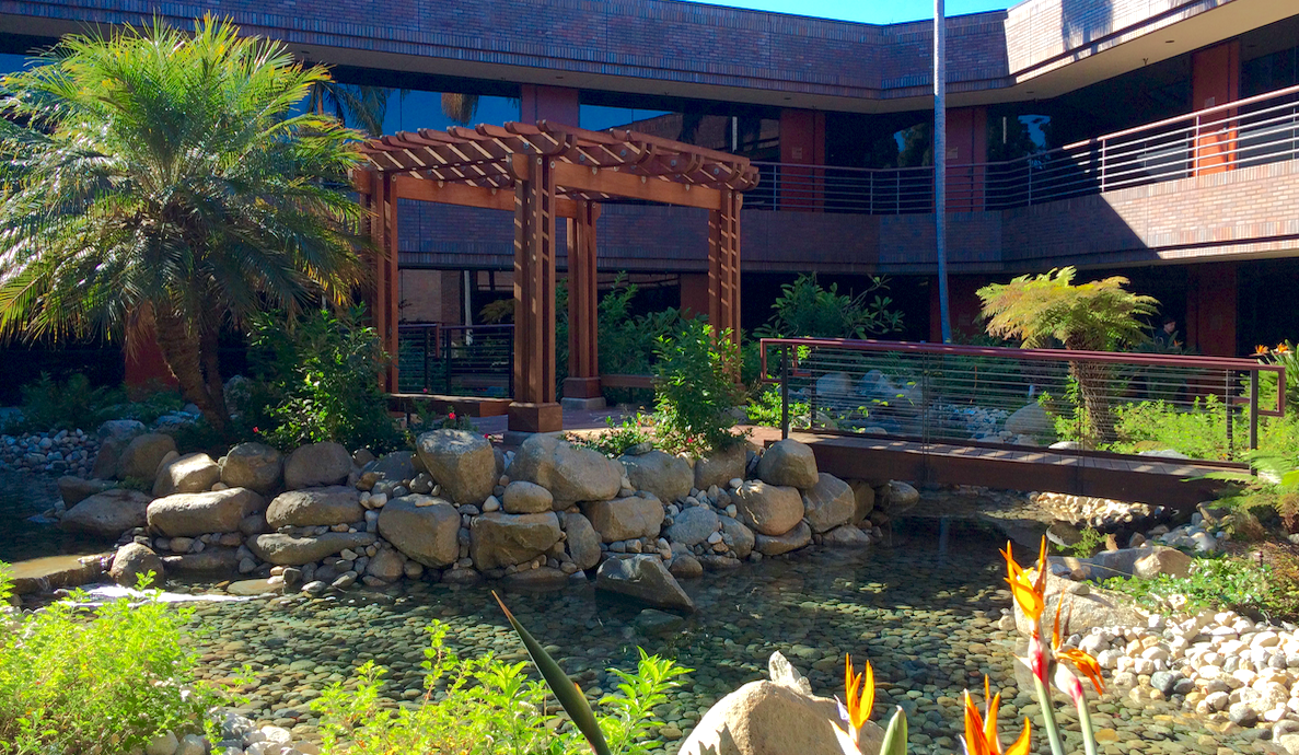 Carlsbad Physical Therapy garden